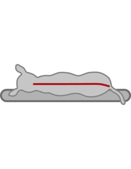 Manta De Viaje Trixie Bendson Para Perros,, Cama Memory Foam Manta De Viaje Trixie Bendson Para Perros,, Cama Memory Foam