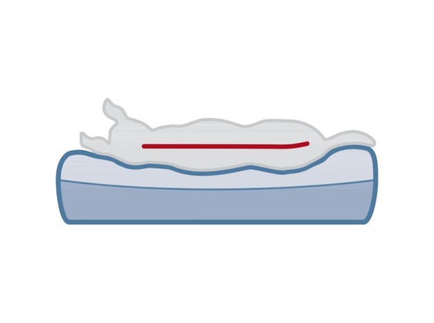 Trixie Vital Ellano, Cama Ortopédica Para Perros, relleno de vviscoelastica