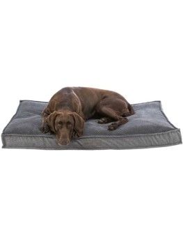 Cama para perros cojín trixie vital eliano