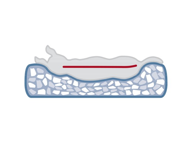 Cama ortopédica para perros, Trixie Cojín Vital Calito Trixie - 1