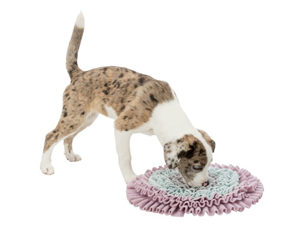 Alfombra Olfativa Trixie Junior, ideal para el adiestramiento de los Cachorros