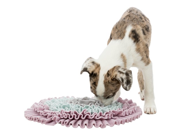 Alfombra Olfativa Trixie Junior, enseña a los cachorros a comer despecio