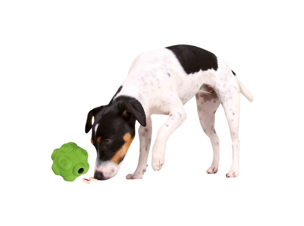 Trixie Pelota para perros dispensadora De Premios Con forma Irregular Trixie - 1