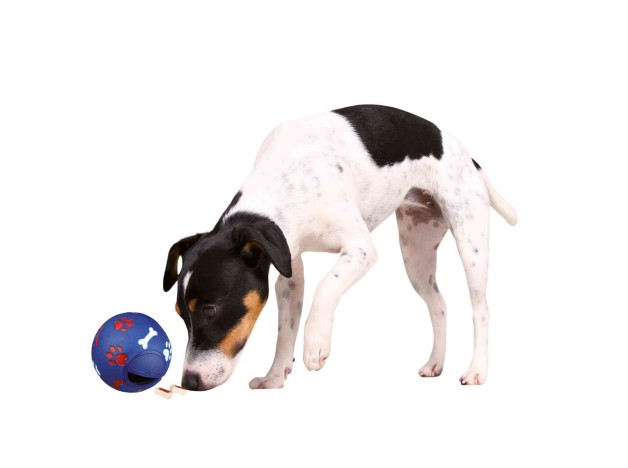 juguete interactivo para perros, Pelota Trixie snack regulable Trixie - 2
