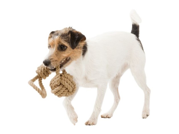 Trixie Be Nordic, Cuerda Con Nudo Y Pelota, Juguete Para perros de todas las razas