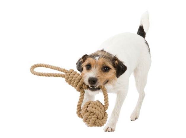 Trixie Be Nordic, Cuerda Con Nudo Y Pelota, Juguete Para perros de todos los tamaños