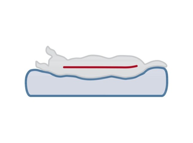 Colchón Lonni gris Memory Foam de Trixie, cama ortopédica para perros