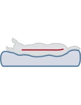 Cama Memory foam para perros, Colchón ortopédico Lonni azul 2