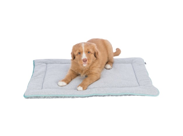 Colchoneta Trixie Junior