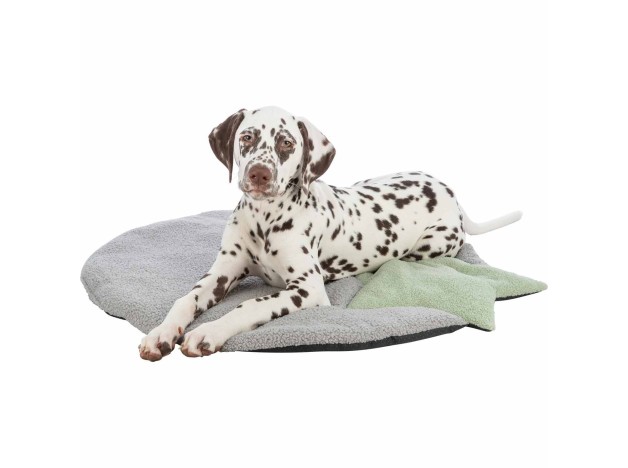 Colchoneta Trixie Junior con estrella