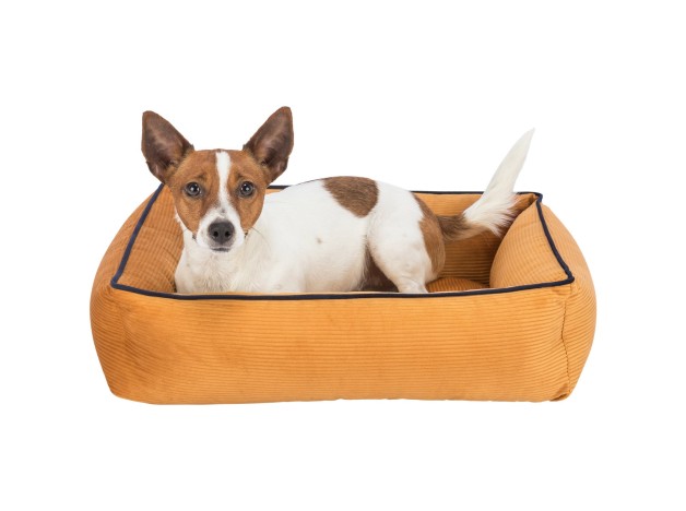 cama Trixie Romy ocre