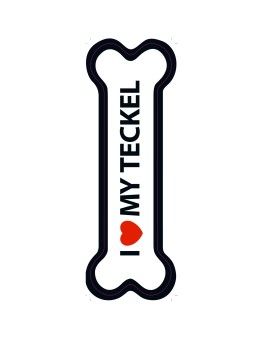 Hueso Magnético 'I Love my Teckel' Magnet Steel - 1