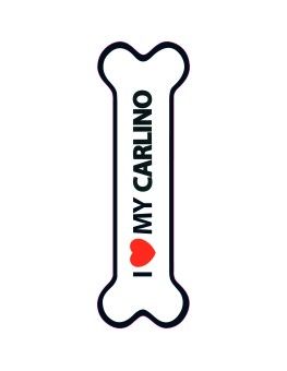 Hueso Magnético 'I Love my Carlino'