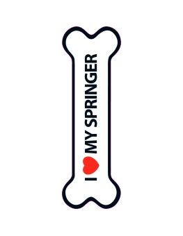 Hueso Magnético 'I Love my Springer' Magnet Steel - 1