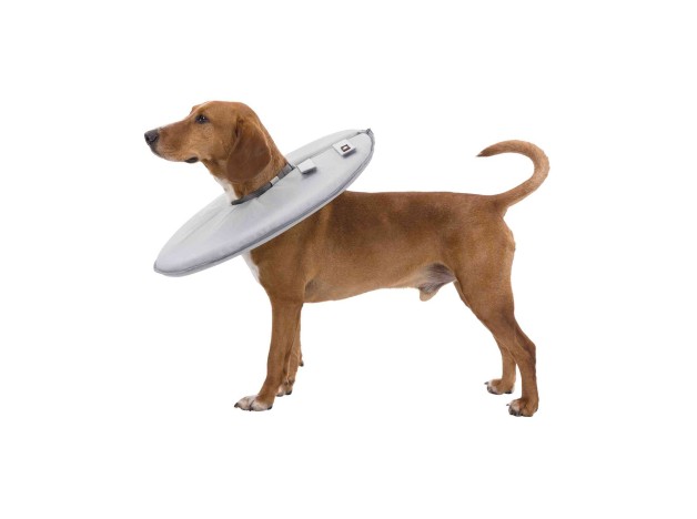 Collar veterinario flexible para perros de Trixie, para todas las razas