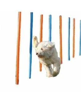 Eslalon Trixie para hacer Fum Agility con tu perro