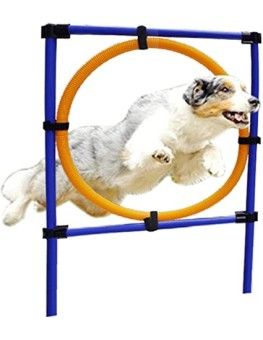 Aro de salto Trixie para hacer Fum Agility con tu perro