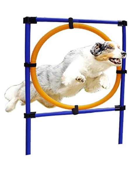 Aro de salto Trixie para hacer Fum Agility con tu perro