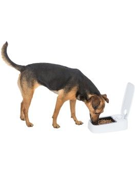 Comedero automático para perros una ración  - 1 2