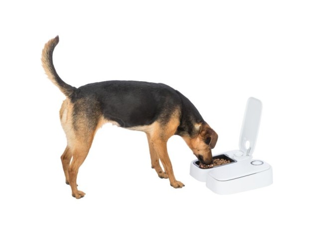 Comedero automático Trixie TX2