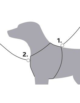 Arnés Trekking Trixie avellana, anti tirones para perros 2