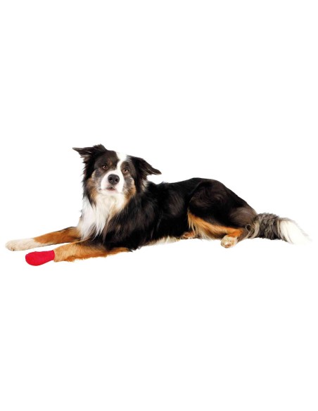 Vendajes para las heridas del perro de todos los tamaños