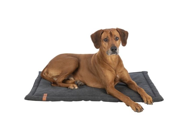 Colchoneta Trixie Be Nordic Fohr en color negro para perros