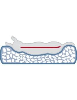 Cojín Vital Bendson de Trixie, cama ortopédica para perros 2