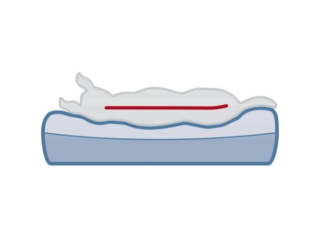 Cama ortopédica Trixie Remo, cuna de visco elástica para perros de todas las razas