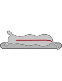 Cama Memory foam Trixie Lino para perros 2