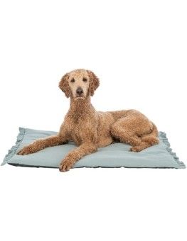Colchoneta Trixie Soft Edition Amelie color salvia para perros 2