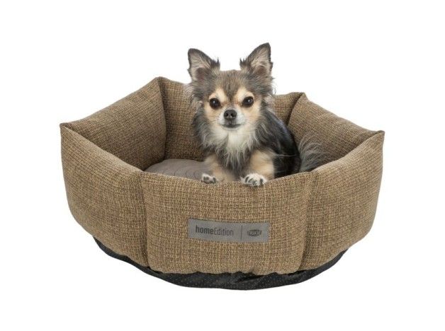 Home Editión cama Trixie Marrón para perros
