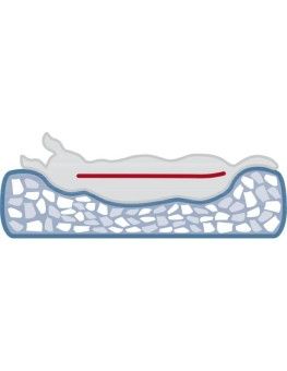 Cama Memory Foam Trixie Vital Jonna color salvia 2