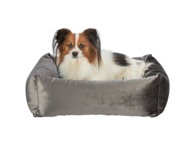 Cama Trixie Soft Edition color gris para perros