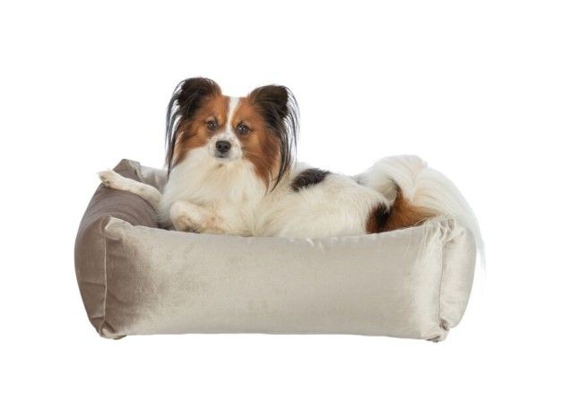 Trixie cama Malia color Oro/arena para perros de tamaño pequeño y mediano