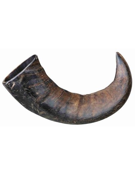 Astas de Búfalo Masticables de Trixie