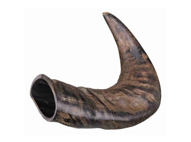 Astas de Búfalo Masticables de Trixie Trixie - 3