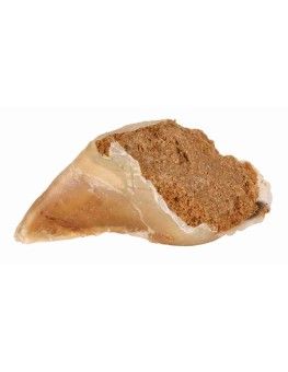 Pezuña rellena de carne de ternera, Pack ahorro Trixie Snack