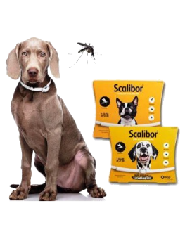 Collar antipara sitario Scalibor para perros
