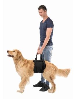 Arnes elevador Trixie para perros con poca movilidad Trixie - 1 2