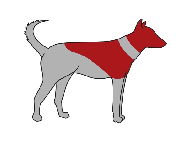 Collar inflable isabelino trixie para perros, zona que protege