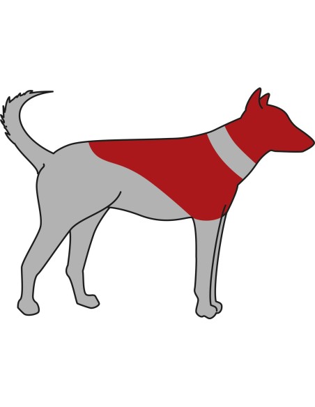 Collar inflable isabelino trixie para perros, zona que protege