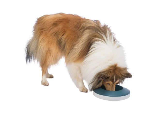 Trixie Slow Feeding Rocking Bowl, comedero anti ansiedad perros Trixie - 5