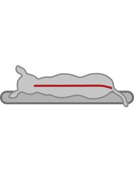 Cojín Trixie Vital Best of all Breeds, colchon memory Foam para perros  - 2 2
