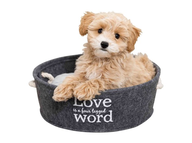 Cesto Trixie  Lian, cuna para perros de razas pequeñas