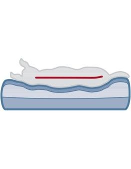 cama de viscoelastica para perros, sofa Vital Bendson de Trixie 2