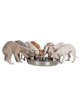 Comedero Trixie Junior De Acero Inoxidable Para Cachorros, indicado para camadas 2